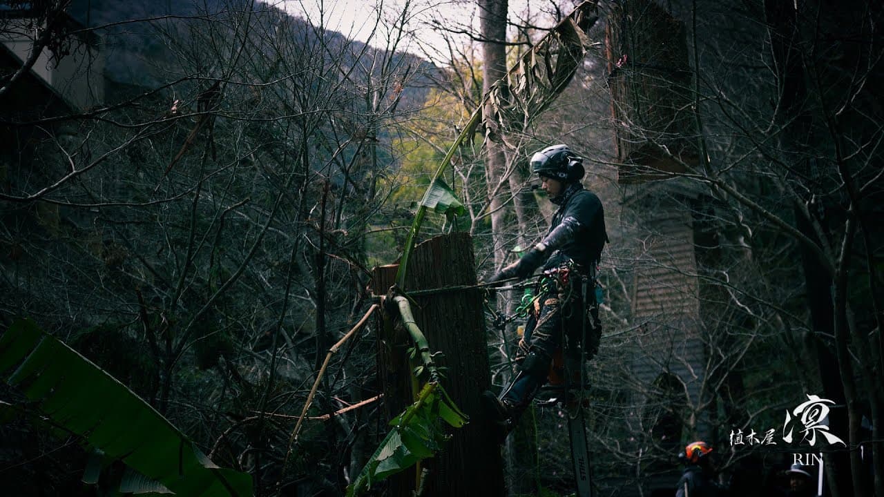 株式会社RIN GROUP HOLDINGS ブランディングムービー